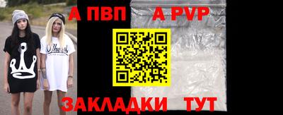 шишки Кандалакша