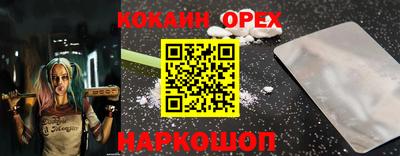 гидропоника Камышлов
