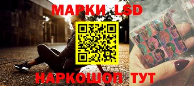 гидропоника Камышлов