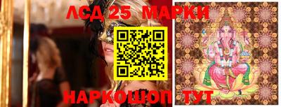 шишки Кандалакша