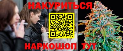 гидропоника Камышлов