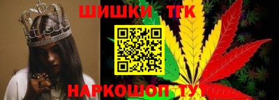 гидропоника Камышлов