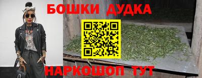 гидропоника Камышлов