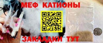 шишки Кандалакша